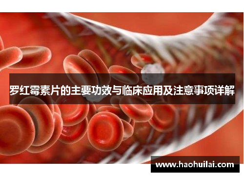 罗红霉素片的主要功效与临床应用及注意事项详解 罗红霉素片的主要功效与临床应用及注意事项详解