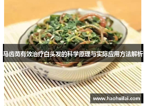 马齿苋有效治疗白头发的科学原理与实际应用方法解析 马齿苋有效治疗白头发的科学原理与实际应用方法解析